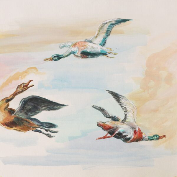 "Vögel", Tempera-Kunstkopie nach Details von Jan van Kessel der Ältere