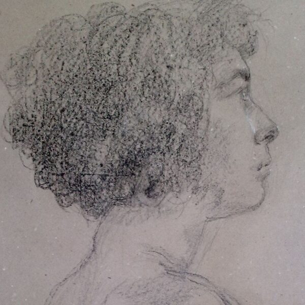 "Testa muliebre", carboncino