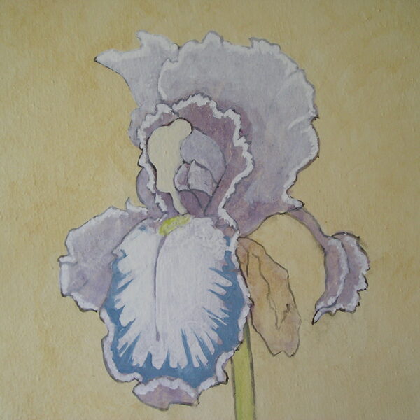 "Decoro di interni" per privato, pigmenti e legante naturale, dettaglio 1