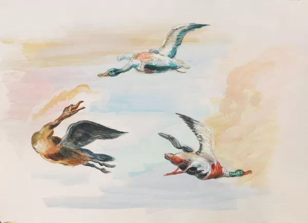 "Vögel", Tempera-Kunstkopie nach Details von Jan van Kessel der Ältere