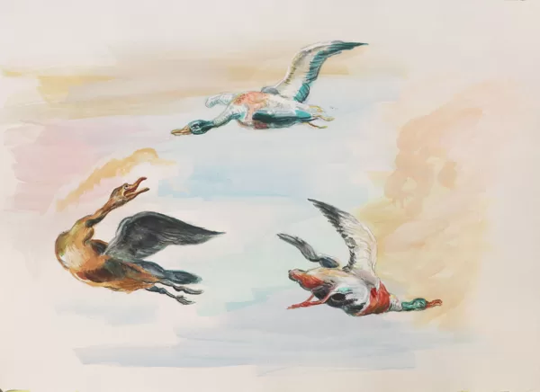 "Uccelli", copia d'arte a tempera di dettagli da Jan van Kessel der Ältere